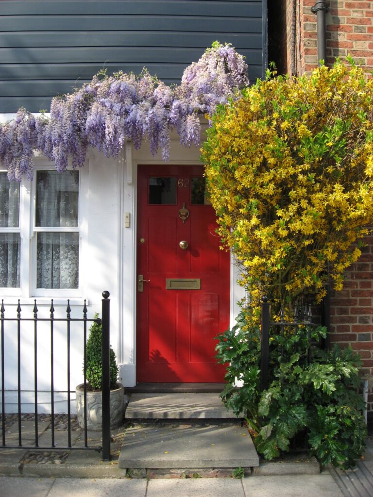 wisteria-cottage-1219997